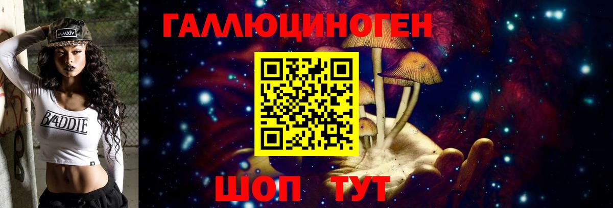 Междуреченск  Псилоцибиновые грибы GOLDEN TEACHER  Вход с VPN 